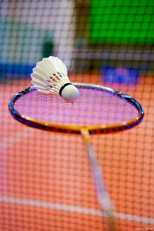 仅代表自己 仅代表自己